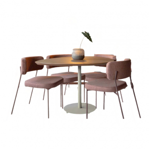 Bộ bàn ghế sắt 1001