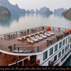 Thiết kế và thi công nội thất du thuyền theo tiêu chuẩn quốc tế – Kiến tạo không gian đẳng cấp và an toàn
